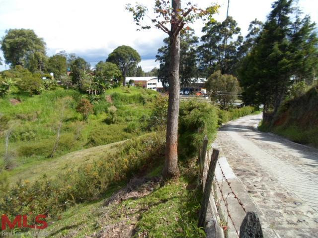 ACTIVIDAD MÚLTIPLE INDUSTRIAL guarne - autopista guarne