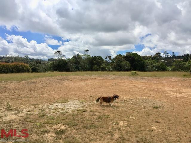 HERMOSO LOTE santa-elena - rural