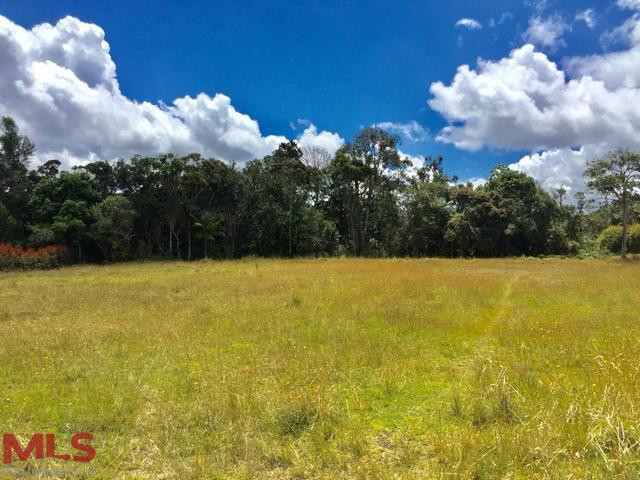 HERMOSO LOTE santa-elena - rural