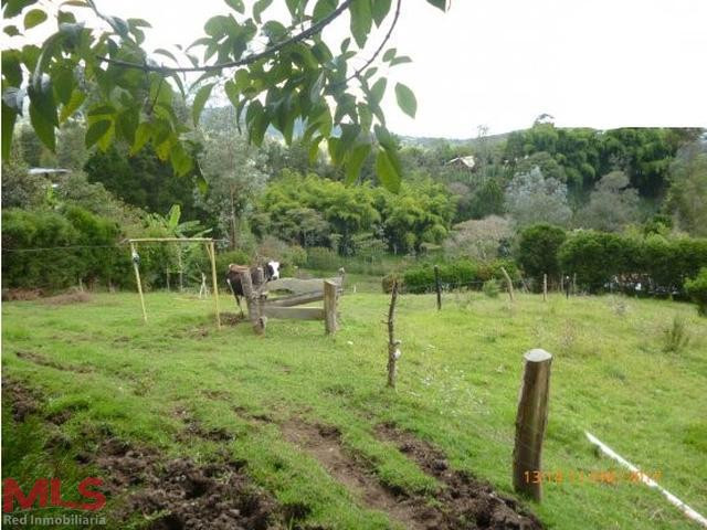 FINCA EN GUARNE CON EXCELENTE UBICACIÓN guarne - v el sango