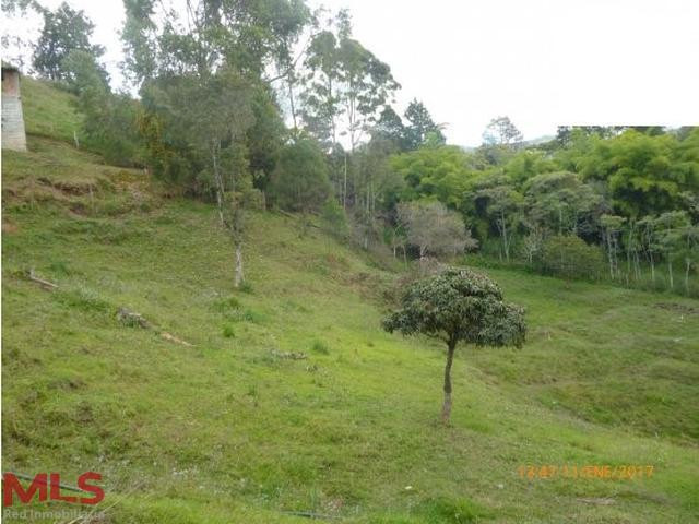 FINCA EN GUARNE CON EXCELENTE UBICACIÓN guarne - v el sango