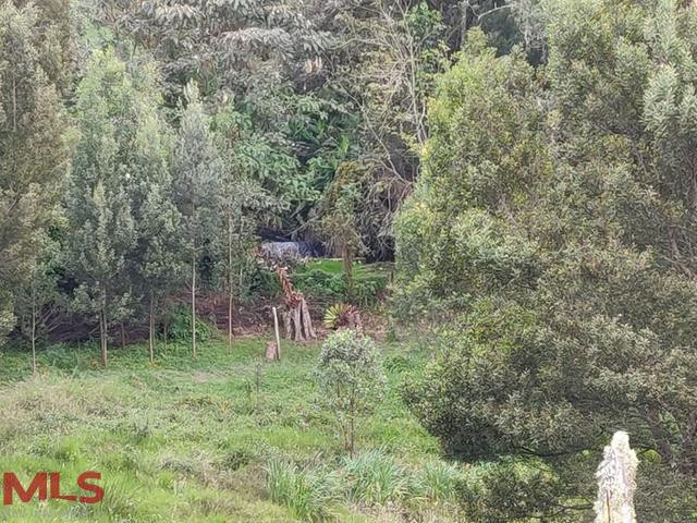 Lote grande en parcelacion en Alto de las Palmas. envigado - alto de las palmas