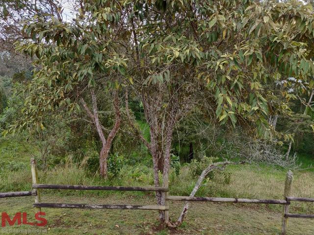 Lote grande en parcelacion en Alto de las Palmas. envigado - alto de las palmas