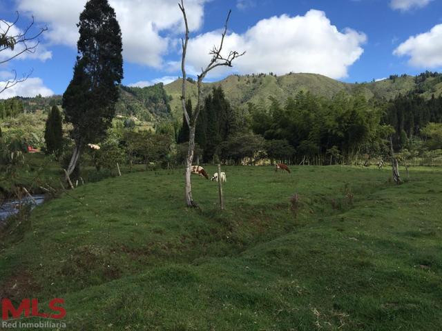 Espectacular Lote guarne - v la honda