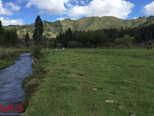 Espectacular Lote guarne - v la honda