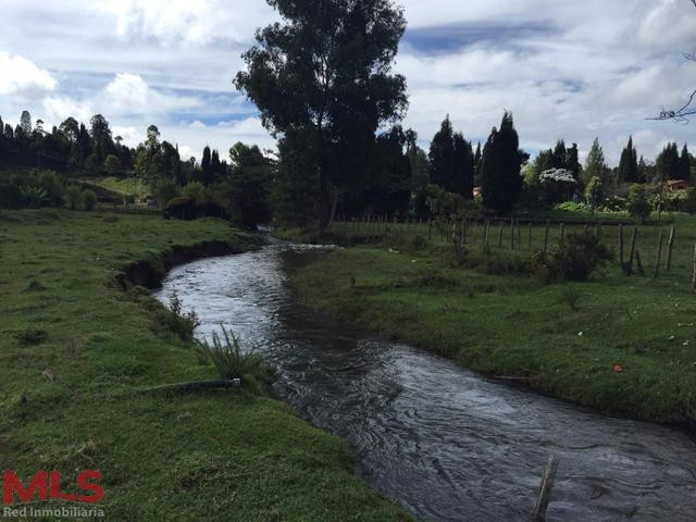 Espectacular Lote guarne - v la honda