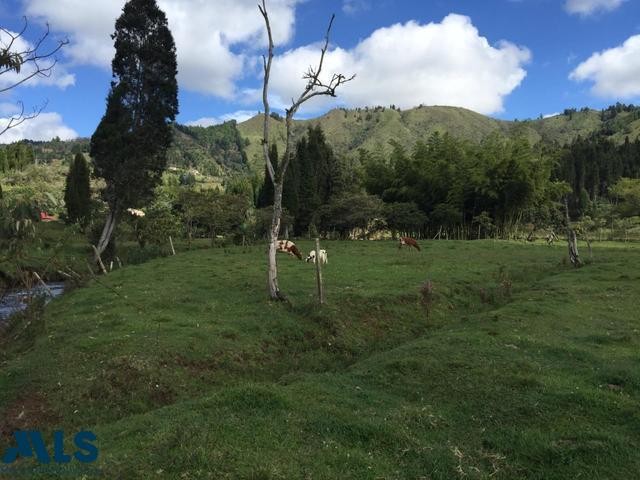 Espectacular Lote guarne - v la honda