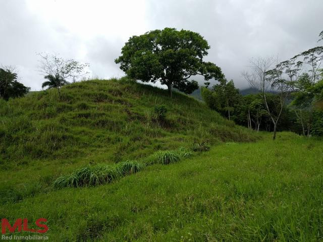 Lote en venta ubicado en La Siria, Ttiribí. titiribi - la albania