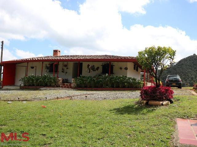 agradable finca familiar, tranquilidad y naturaleza a tu alrededor. san-pedro-de-los-milagros - rural