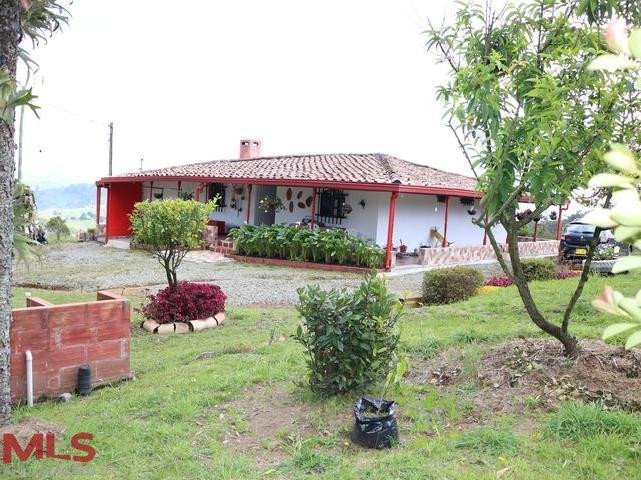 agradable finca familiar, tranquilidad y naturaleza a tu alrededor. san-pedro-de-los-milagros - rural