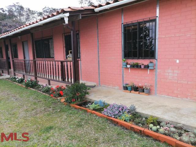 Finca independiente en venta en Guarne, vereda Yolombal guarne - rural