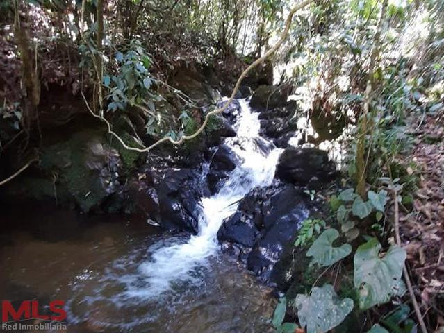 HERMOSO LOTE CON QUEBRADA Y CASCADA guarne - autopista guarne