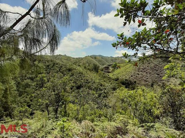 HERMOSO LOTE CON QUEBRADA Y CASCADA guarne - autopista guarne