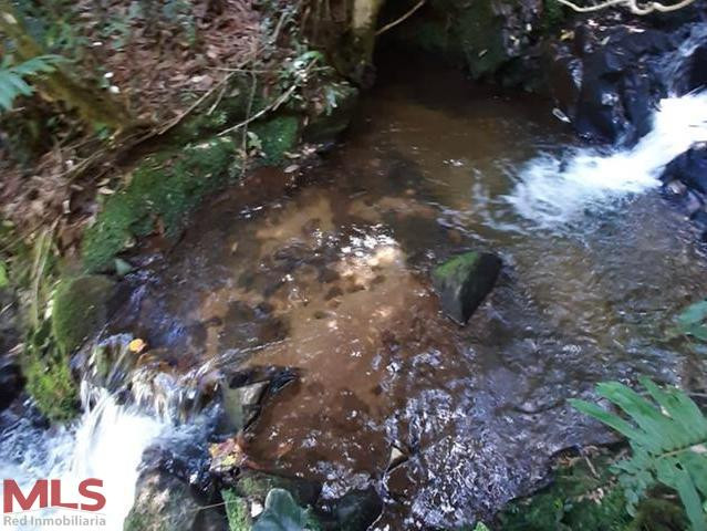 HERMOSO LOTE CON QUEBRADA Y CASCADA guarne - autopista guarne