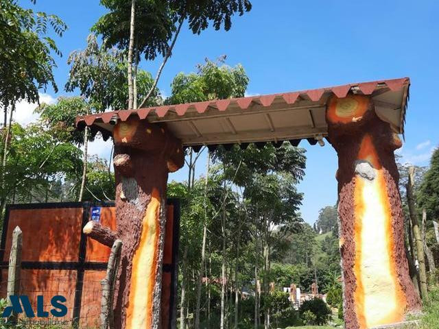 Finca con producción de 1.500 Robles rosados de la India!!! caldas - v primavera