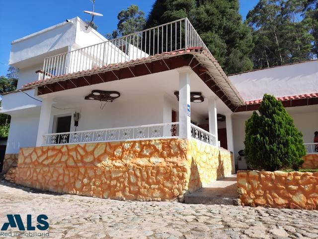 Finca con producción de 1.500 Robles rosados de la India!!! caldas - v primavera