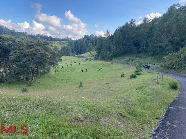 Lo mejor de la naturaleza el-retiro - v carrizales