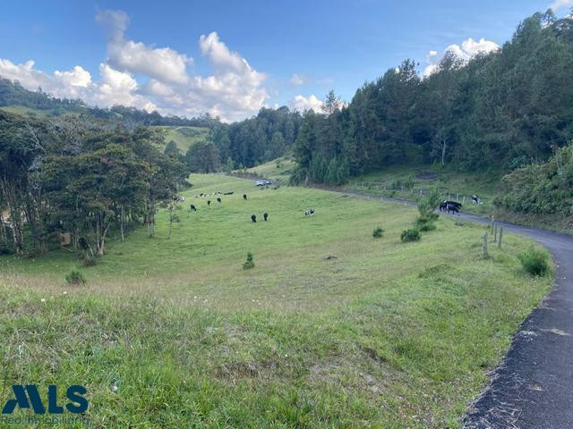 Lo mejor de la naturaleza el-retiro - v carrizales