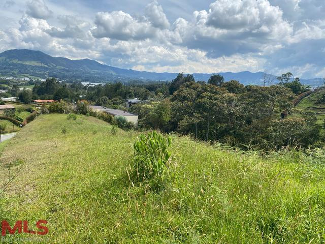 Hermoso lote rodeado de naturaleza en el Oriente Antioqueño la-ceja - corredor san antonio la ceja la ceja