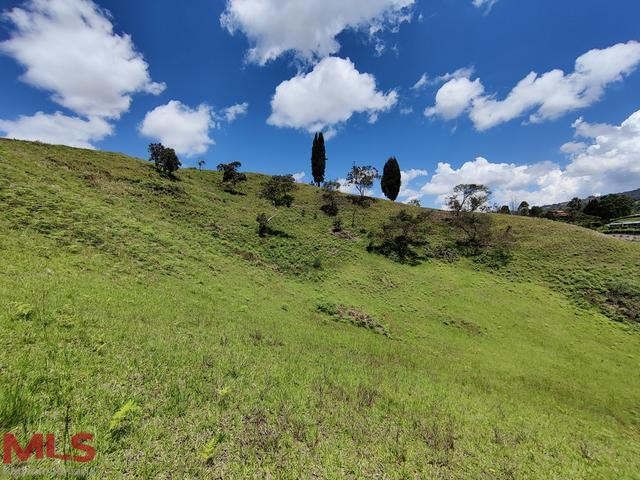 Lote ideal para Parcelar. guarne - v hojas anchas