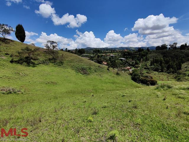 Lote ideal para Parcelar. guarne - v hojas anchas