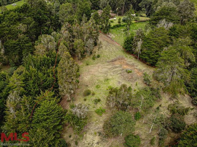 Hermoso lote independiente en cabeceras con explanación, vista, bosque privado y más rionegro - v cabeceras