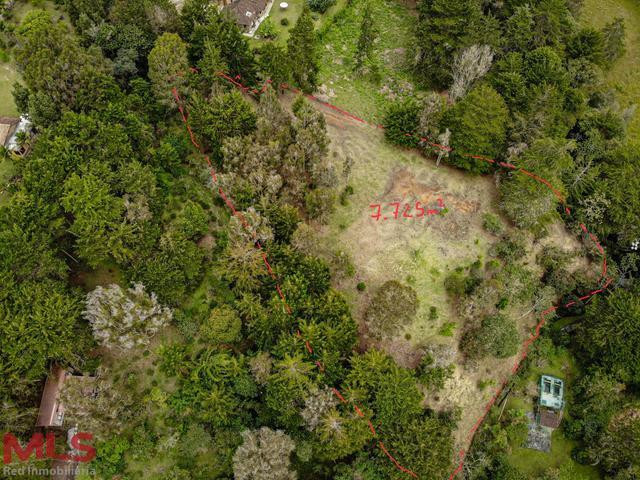 Hermoso lote independiente en cabeceras con explanación, vista, bosque privado y más rionegro - v cabeceras