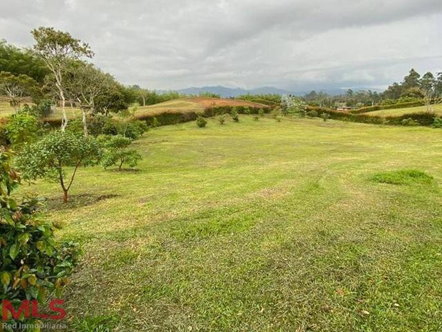 Hermoso lote en parcelacion en Llanogrande rionegro - llanogrande