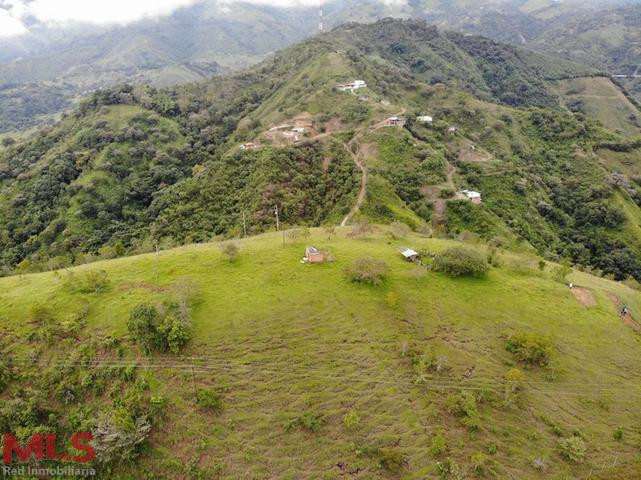 ESPECTACULAR LOTE PARA DESARROLLO san-jeronimo - v loma hermosa