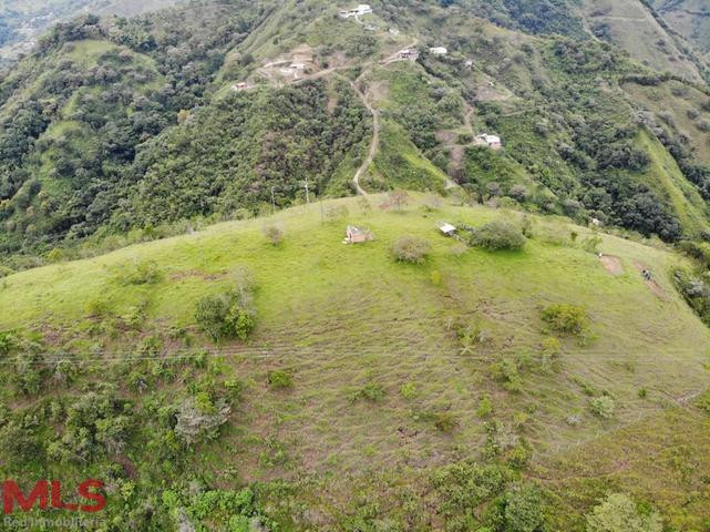 ESPECTACULAR LOTE PARA DESARROLLO san-jeronimo - v loma hermosa