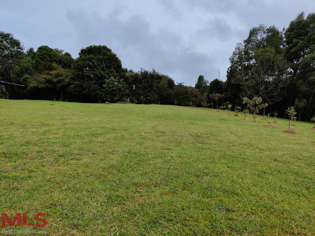 Hermoso lote plano en el Alto de las Palmas. envigado - alto de las palmas