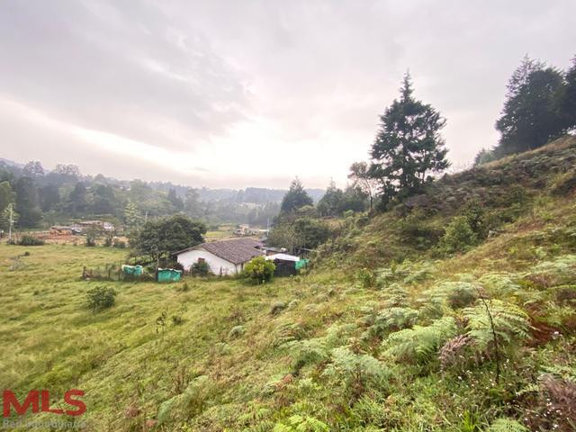 Sector de alta valorización guarne - autopista guarne