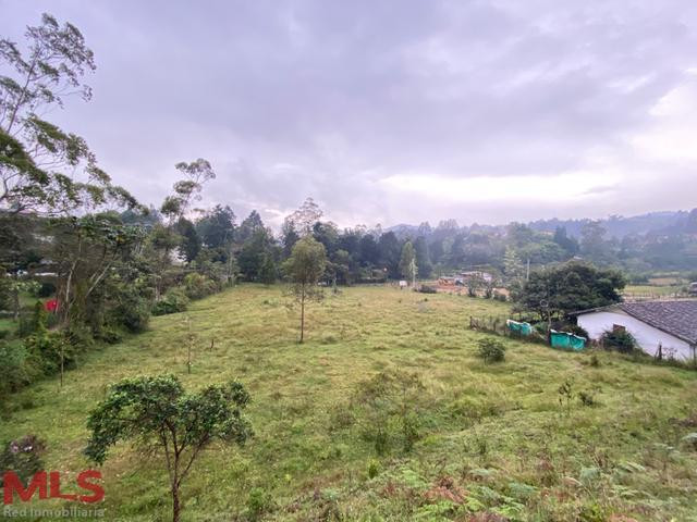 Sector de alta valorización guarne - autopista guarne