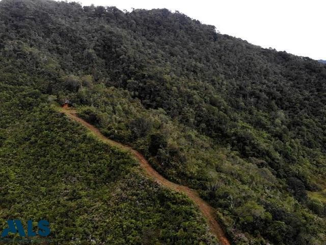 LOTE PRODUCTIVO EN EL CARMEN DE VIBORAL el-carmen - rural