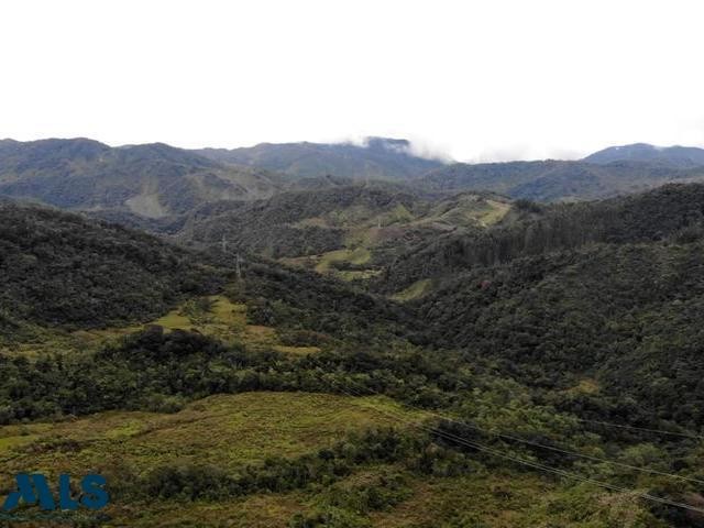 LOTE PRODUCTIVO EN EL CARMEN DE VIBORAL el-carmen - rural