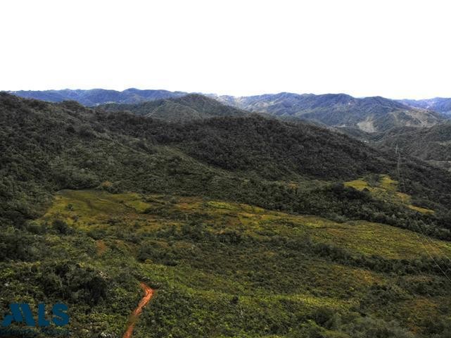 LOTE PRODUCTIVO EN EL CARMEN DE VIBORAL el-carmen - rural