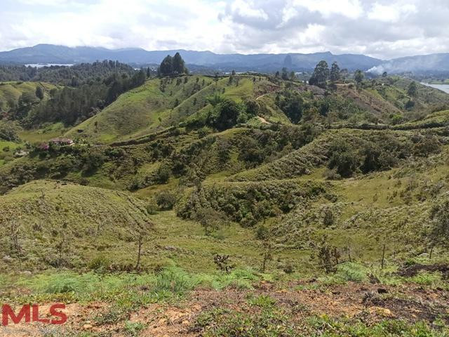 VENDO LOTE PARA DESAROLLO DE PROYECTO EN EL PEÑOL el-penol - v marial