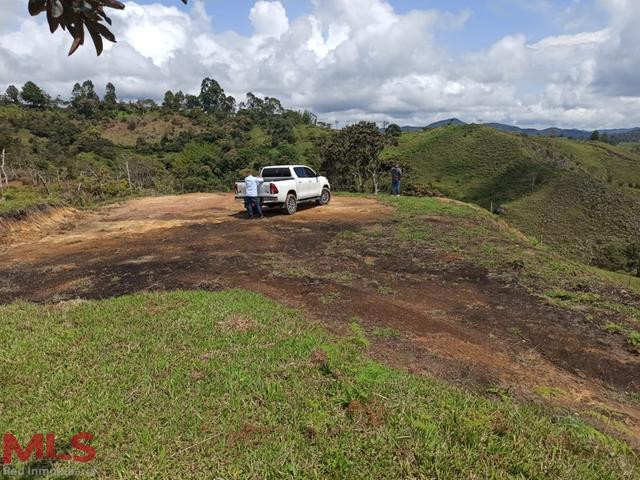 VENDO LOTE PARA DESAROLLO DE PROYECTO EN EL PEÑOL el-penol - v marial