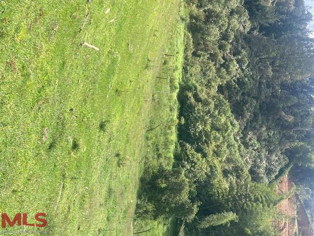 vendo lote rionegro - v fontibon