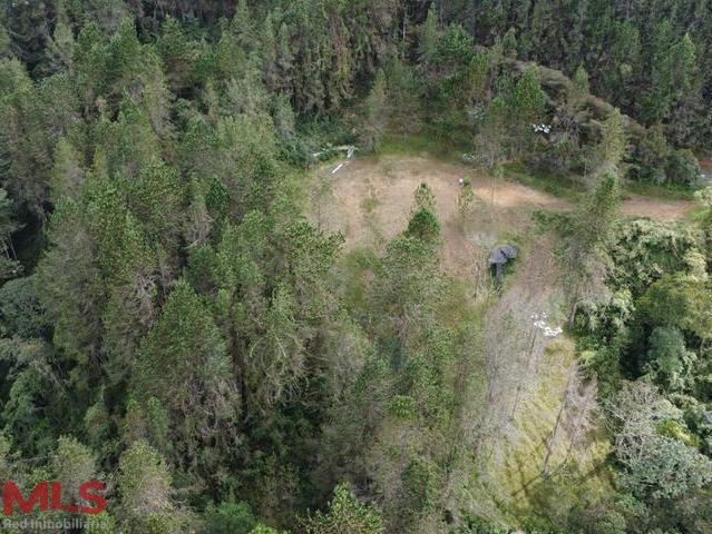 Hermoso lote rodeado de bosque nativo el-retiro - v los salados