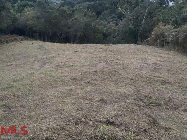 LOTE INDEPENDIENTE EN EL ALTO DE LAS PALMAS envigado - v pantanillo envigado