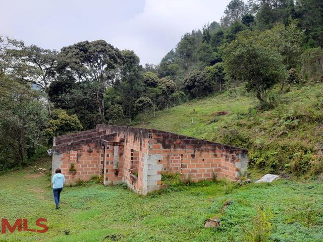 VENTA DE LOTE VEREDA EL ZANGO guarne - v el sango