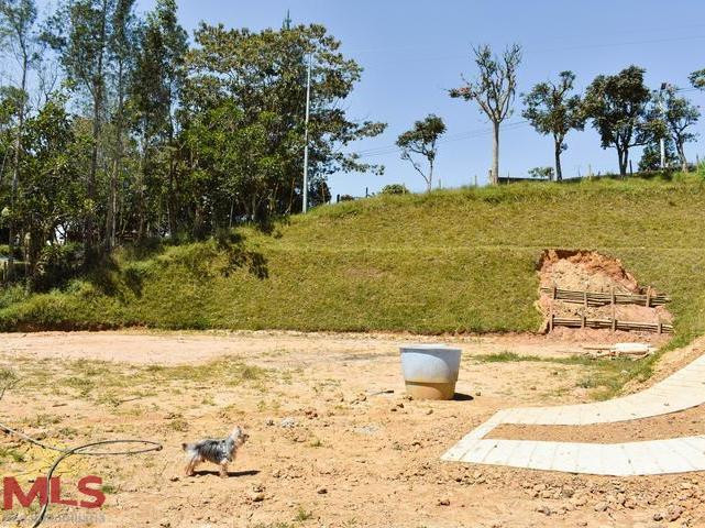 Construye la casa de tus sueños el-carmen - v quirama