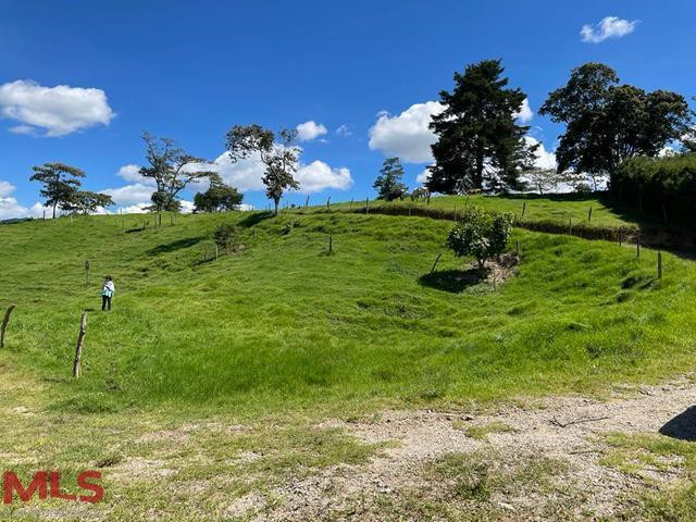 Se vende lote con diseños arquitectónicos! la-ceja - v el capiro