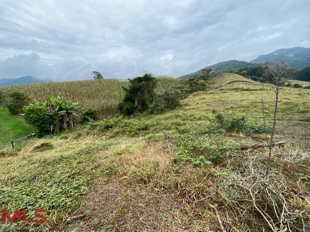 VENDO LOTE CON HERMOSA VISTA SECTOR CARMEN DE VIBORAL el-carmen - v campo alegre