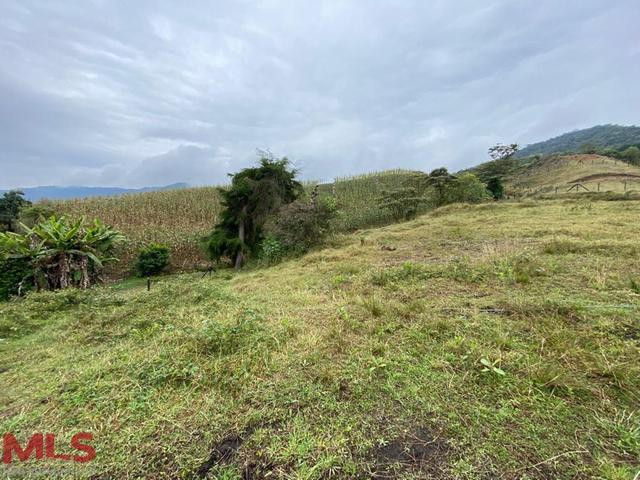 VENDO LOTE CON HERMOSA VISTA SECTOR CARMEN DE VIBORAL el-carmen - v campo alegre