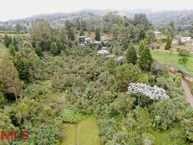 Lote en venta para desarrollar, Vereda La Clara. guarne - vereda la clara