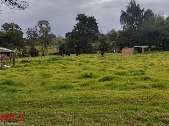 Hermoso lote apto para proyecto urbanisitico santa-elena - rural