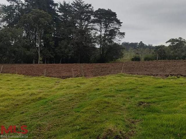 Hermoso lote apto para proyecto urbanisitico santa-elena - rural