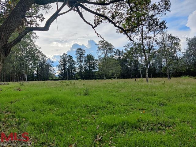 Hermoso lote con 3 matriculas rionegro - v vilachuaga
